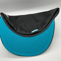 SJ Sharks (Black/Turquiose) NE Fitted